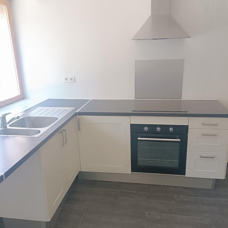 Bel appartement (petite maison) - Photo 3 - Dammarie-les-Lys