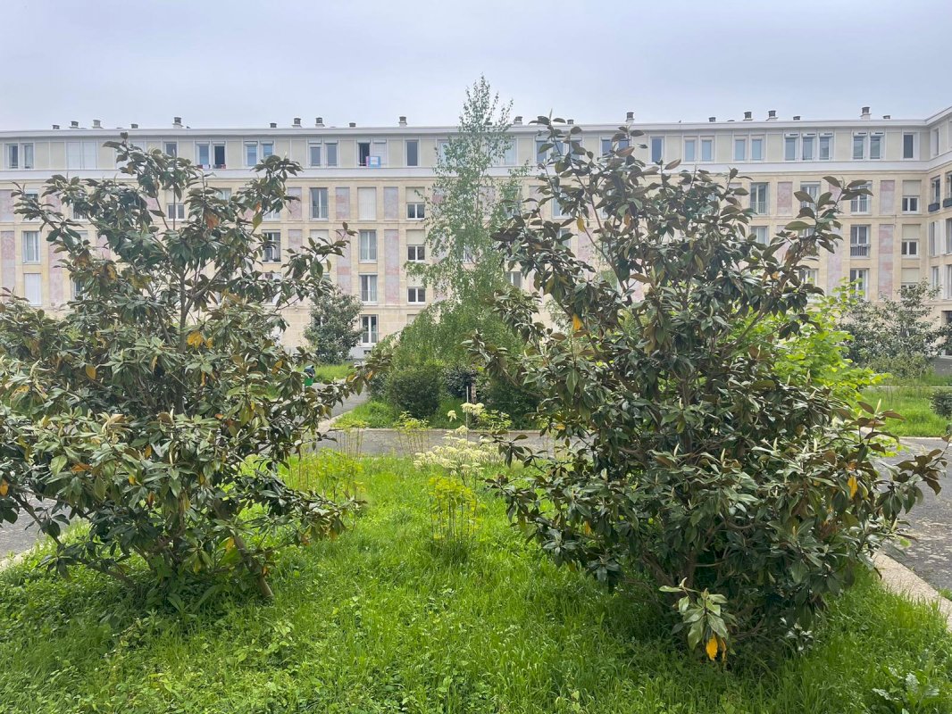 ph5_18815
