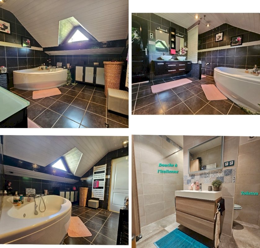 Maison de 252 m² - Photo 5 - Maisons-Alfort