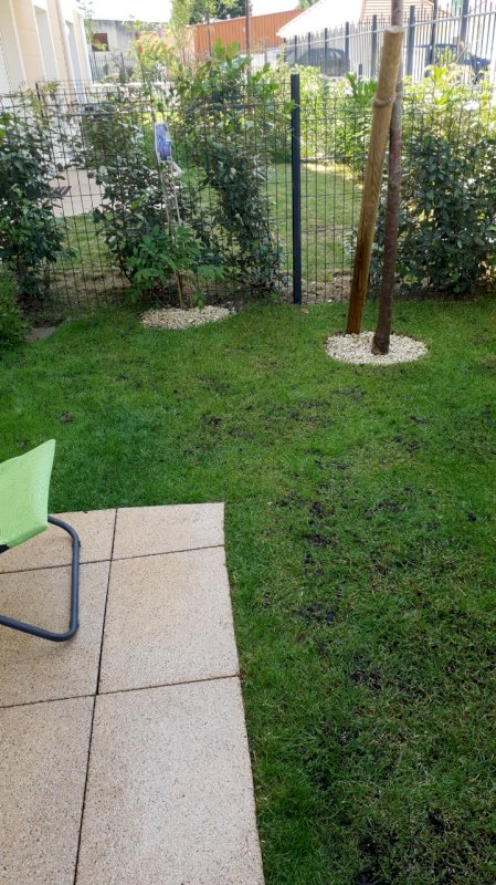 Appartement 2 pièces - Photo 7 - Roissy en Brie