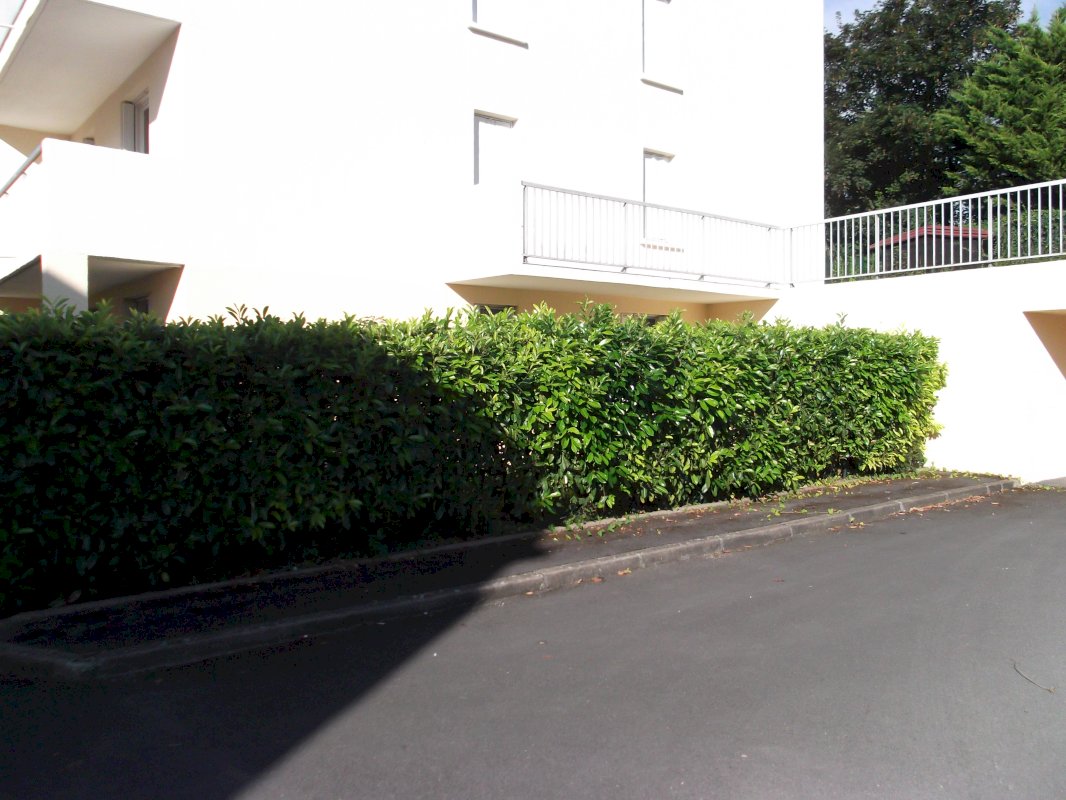 ph8_19272