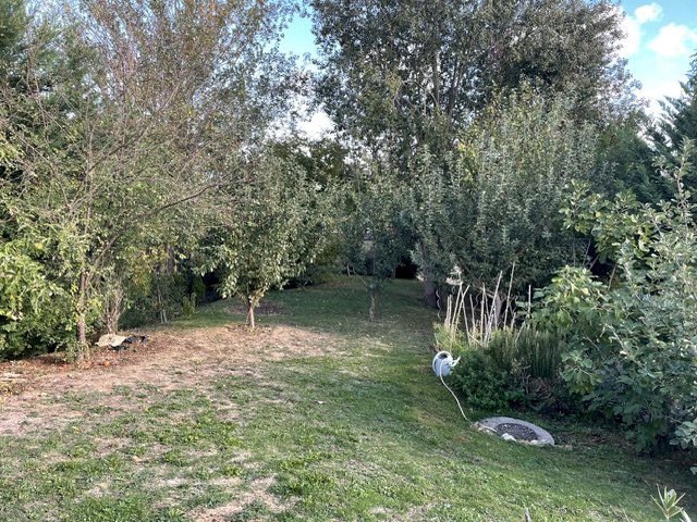 Maison d'architecte de plain-pied jardin arboré de 930m² 5 min à pied centre d'Orgeval, avec sauna et hammam - Photo 9 - Orgeval