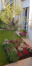 Appartement 2 pièces - Roissy en Brie (77680)