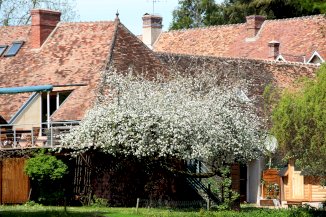 Domaine du Moulin d’Ameil : L’esprit "Maison de Maître" et le volume d’un Loft - Rambouillet (78120)